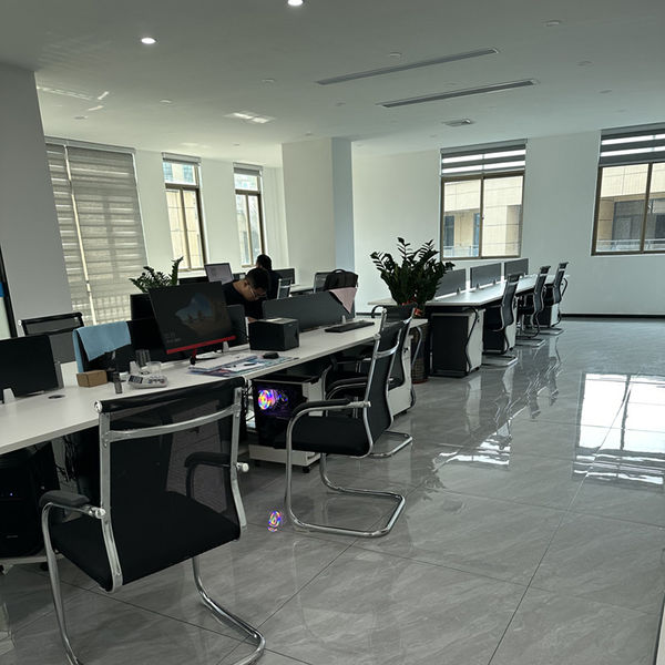 Chine Shenzhen Dingsheng Plasticization Co., Ltd. Profil de la société