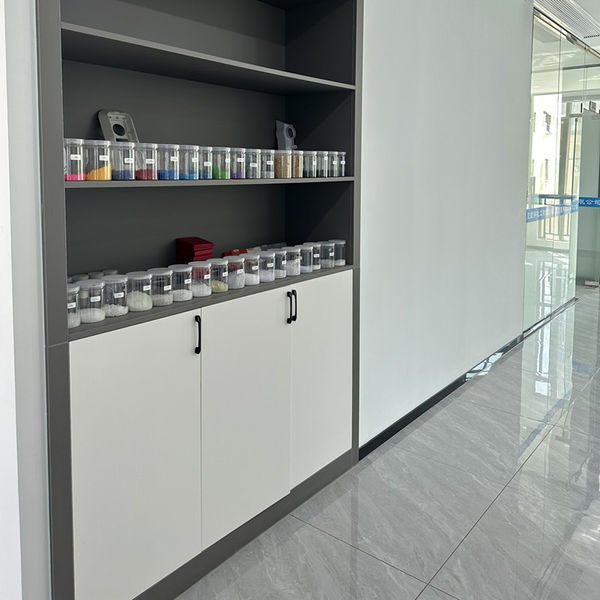 Chine Shenzhen Dingsheng Plasticization Co., Ltd. Profil de la société